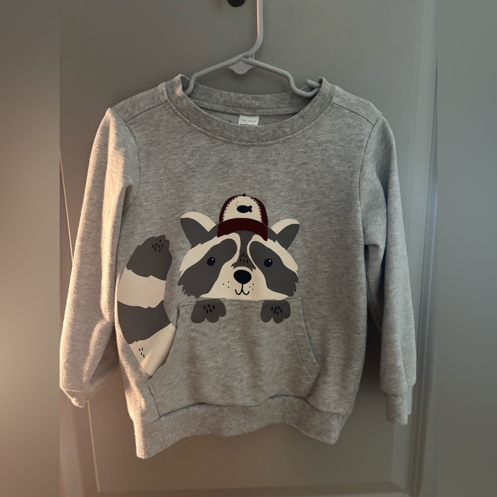 Carter's Gray Raccoon Sweater